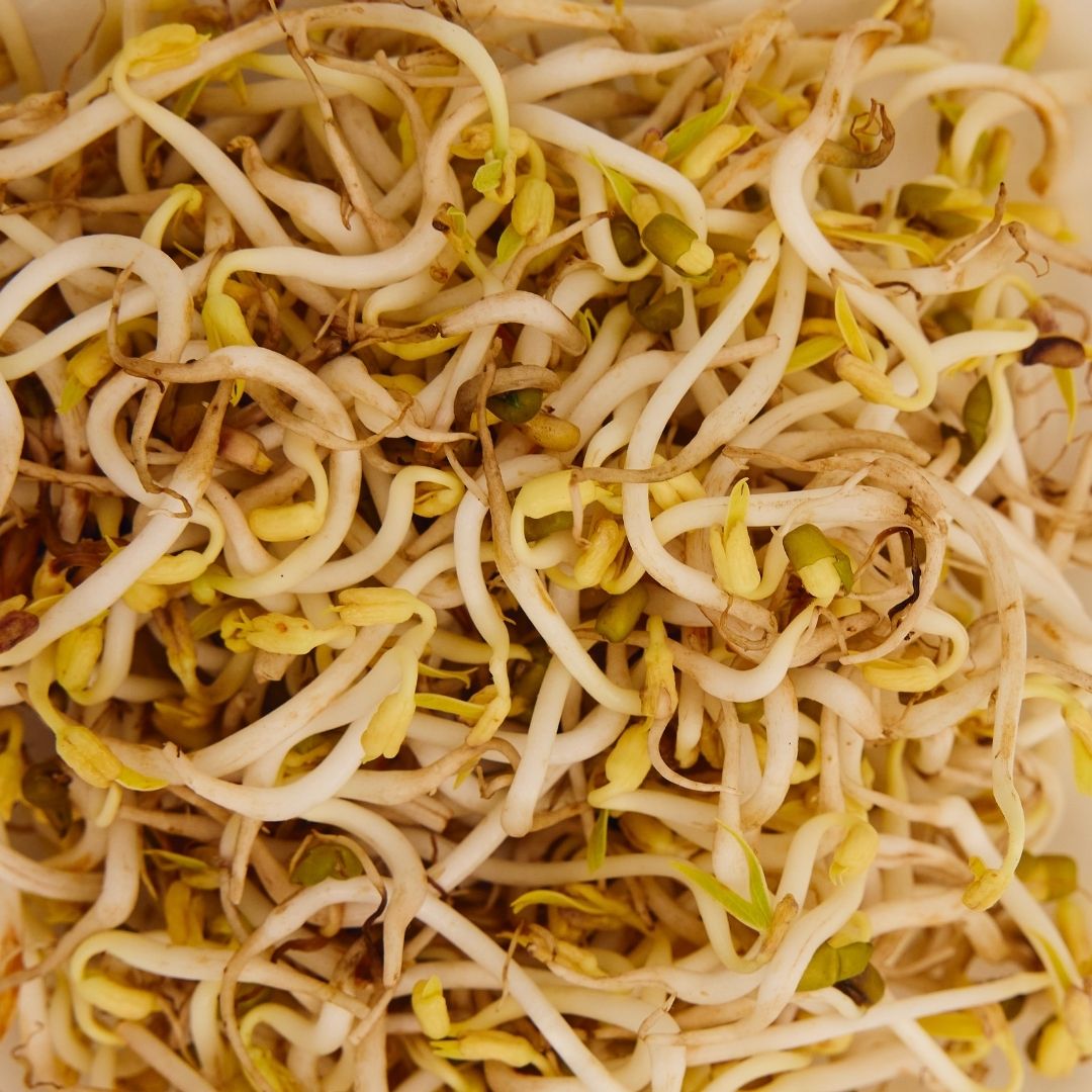 SPROUT (BEANS) ANKURIT