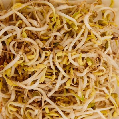 SPROUT (BEANS) ANKURIT