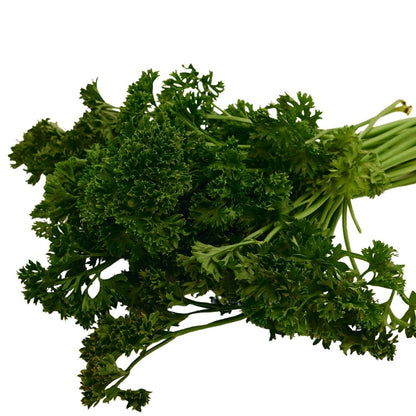PARSLEY