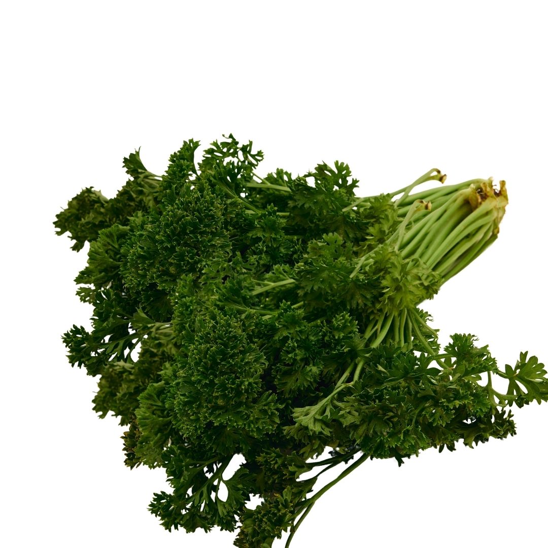 PARSLEY