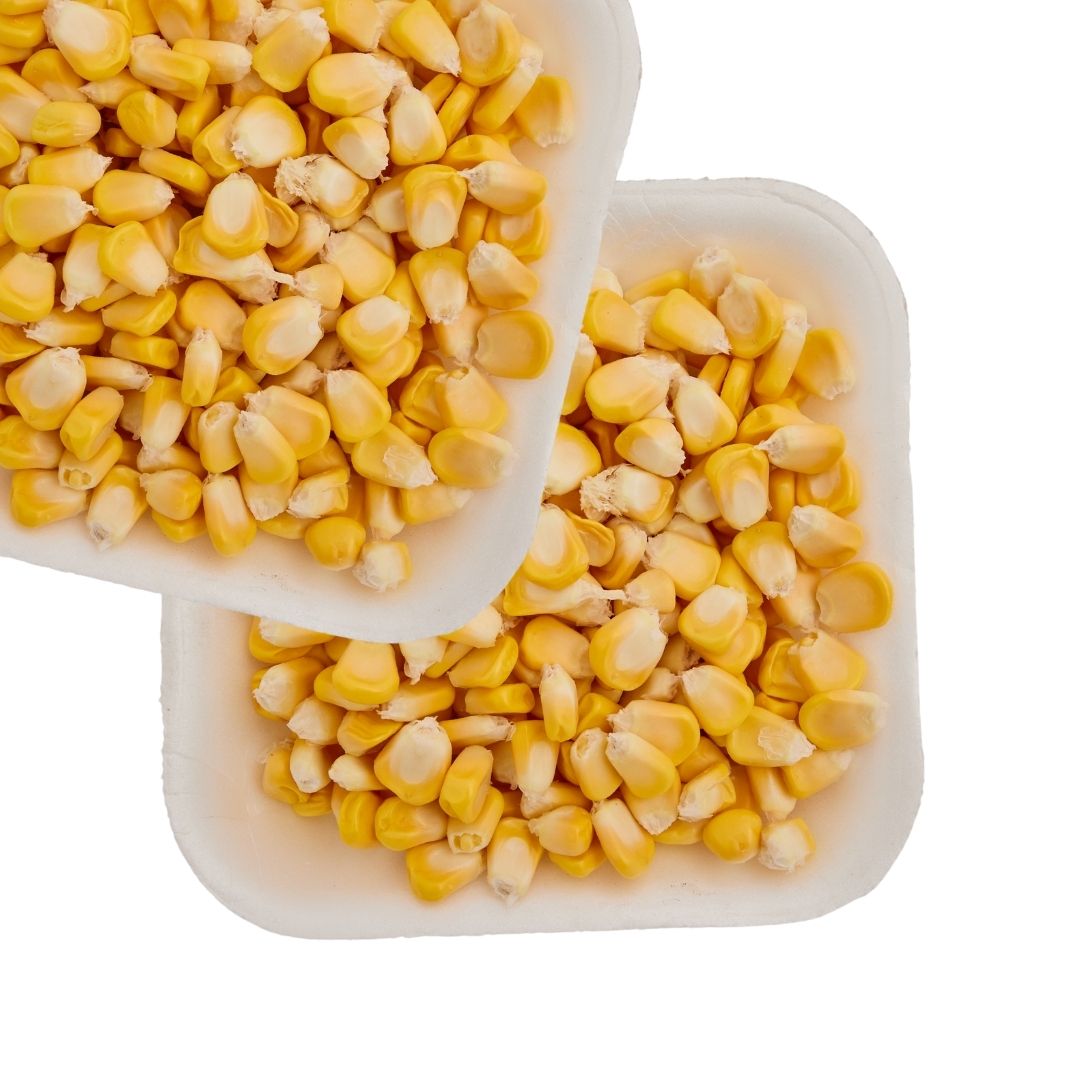 SWEET CORN (MAKKA)