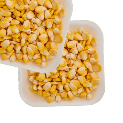 SWEET CORN (MAKKA)