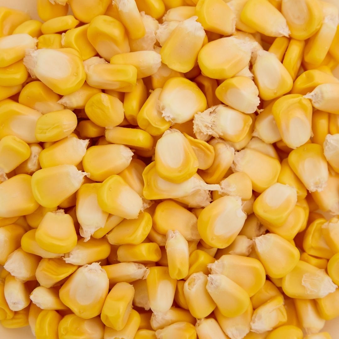 SWEET CORN (MAKKA)