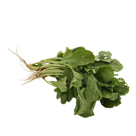 ROCKET LEAVES