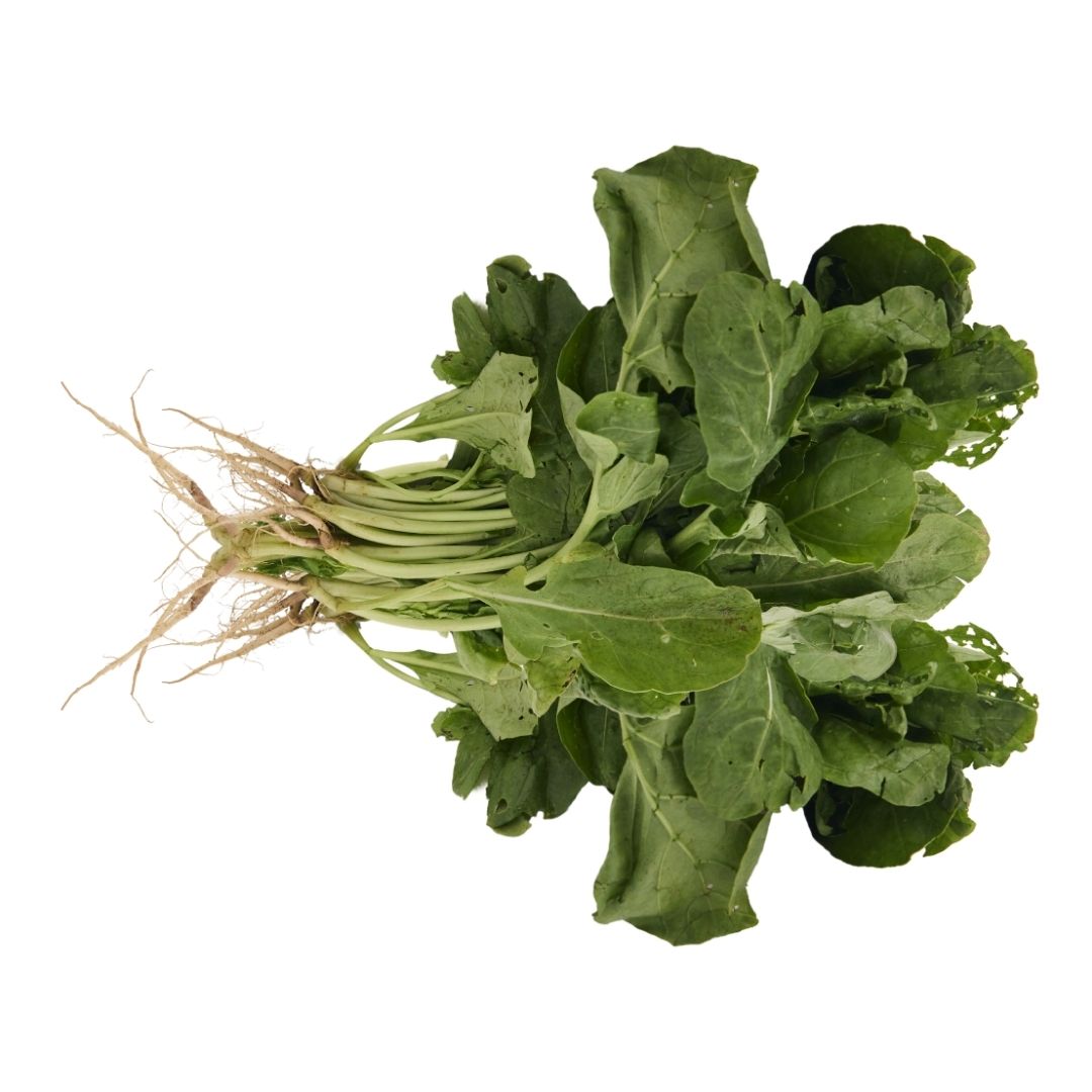 ROCKET LEAVES