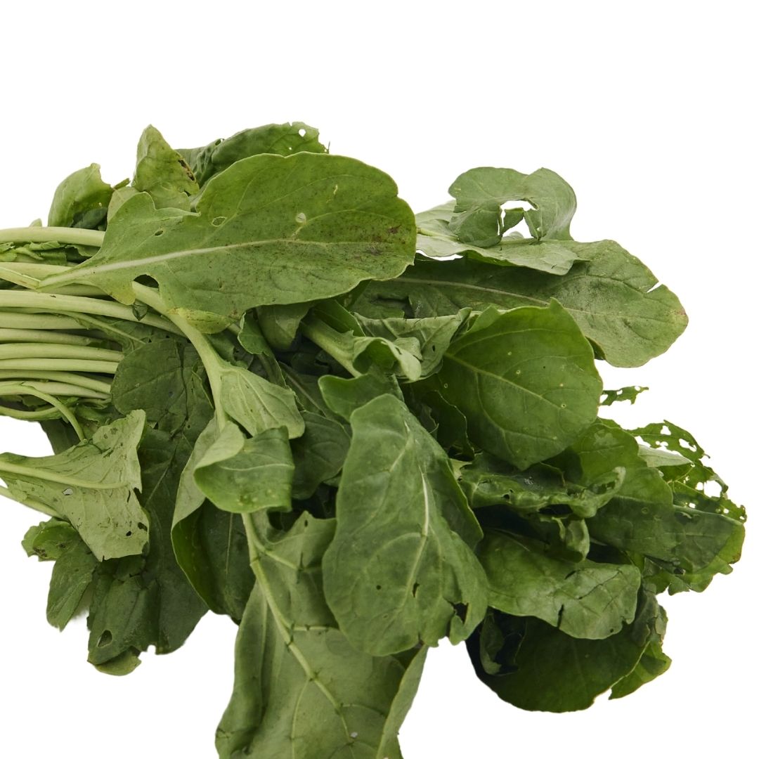 ROCKET LEAVES