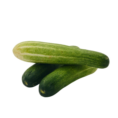 CUCUMBER (HYBRID) KHEERA