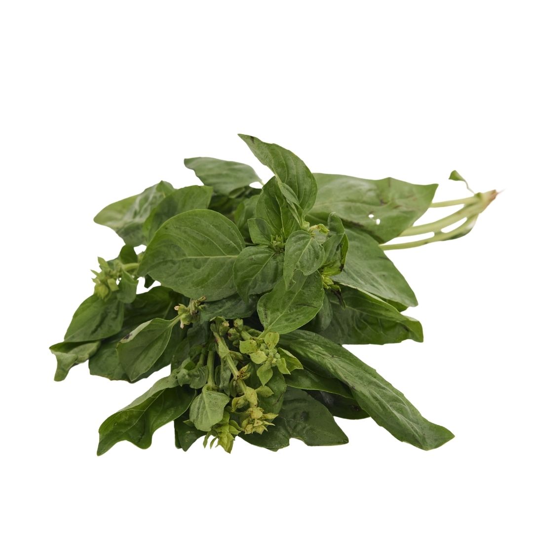 BASIL