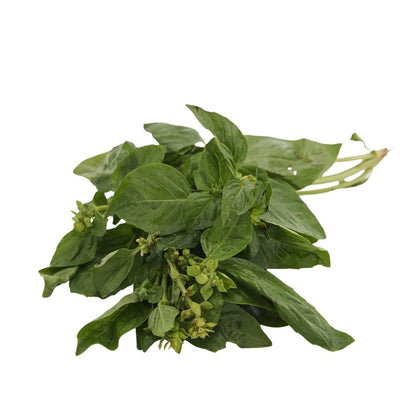 BASIL