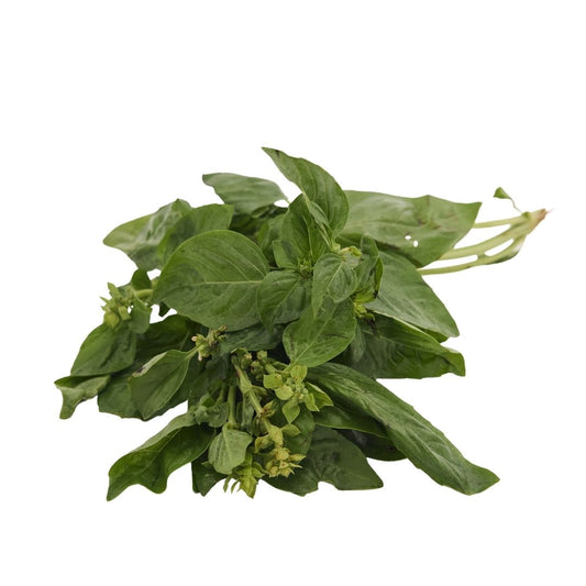 BASIL