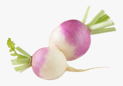 SHALGAM (TURNIP)