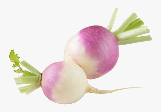 SHALGAM (TURNIP)