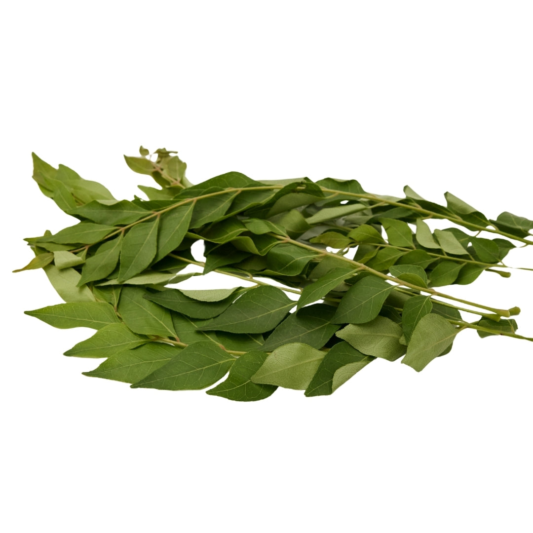 CURRY LEAVES (KADI PATTA)
