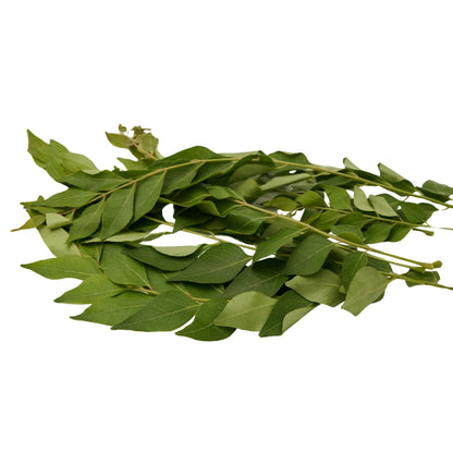 CURRY LEAVES (KADI PATTA)