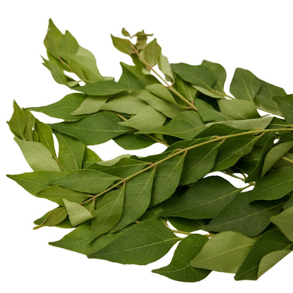 CURRY LEAVES (KADI PATTA)