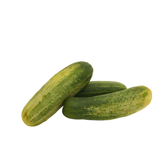 CUCUMBER, (DESI) KHEERA