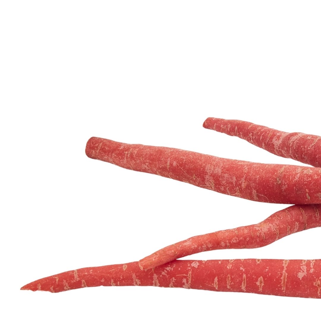 CARROT RED (LAL GAZAR)