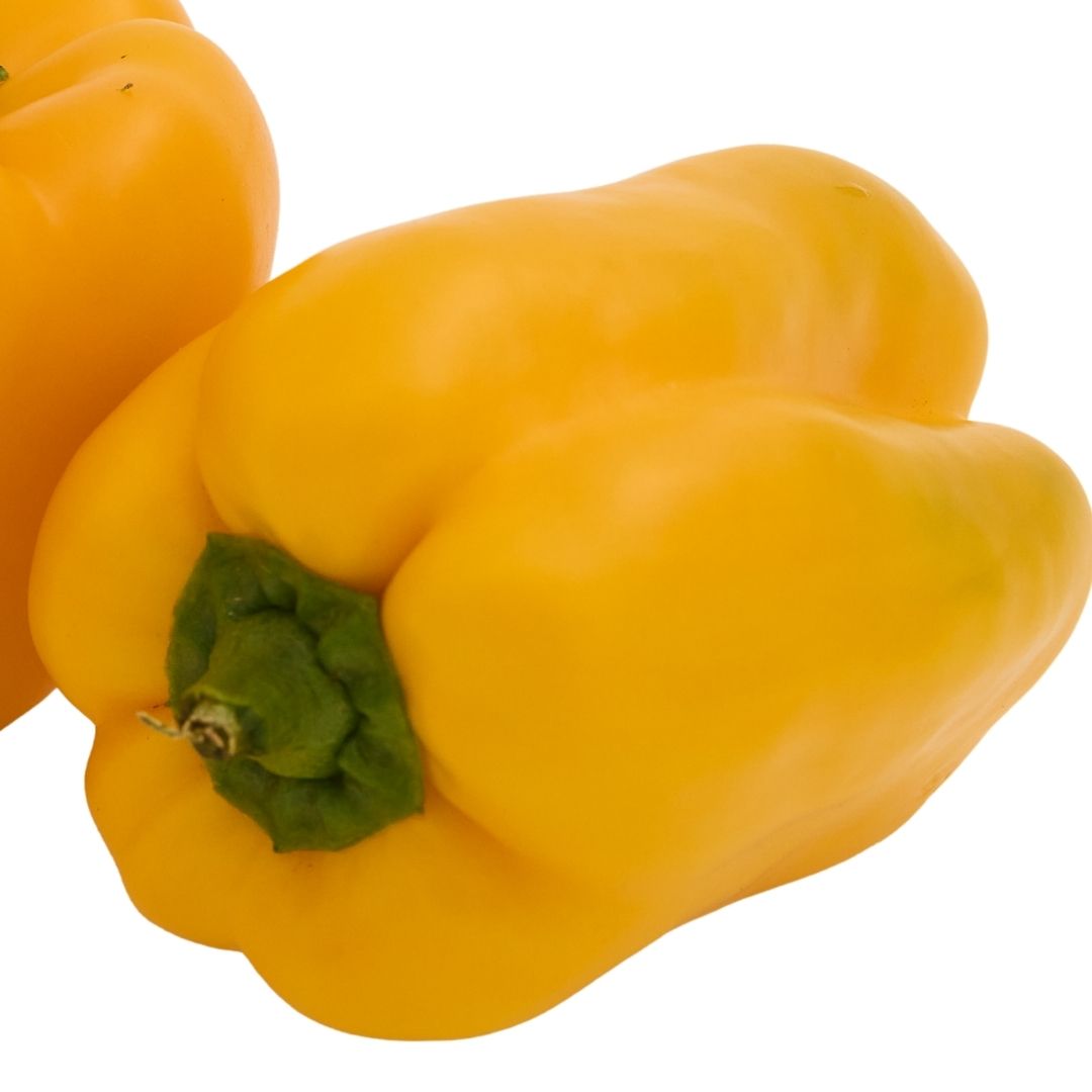 YELLOW (BELL PEPPER) PILI SHIMLA MIRCH