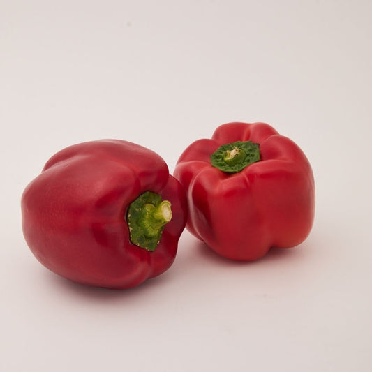 RED (BELL PEPPER) LAL SHIMLA MIRCH