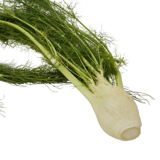 FENNEL LEAVES