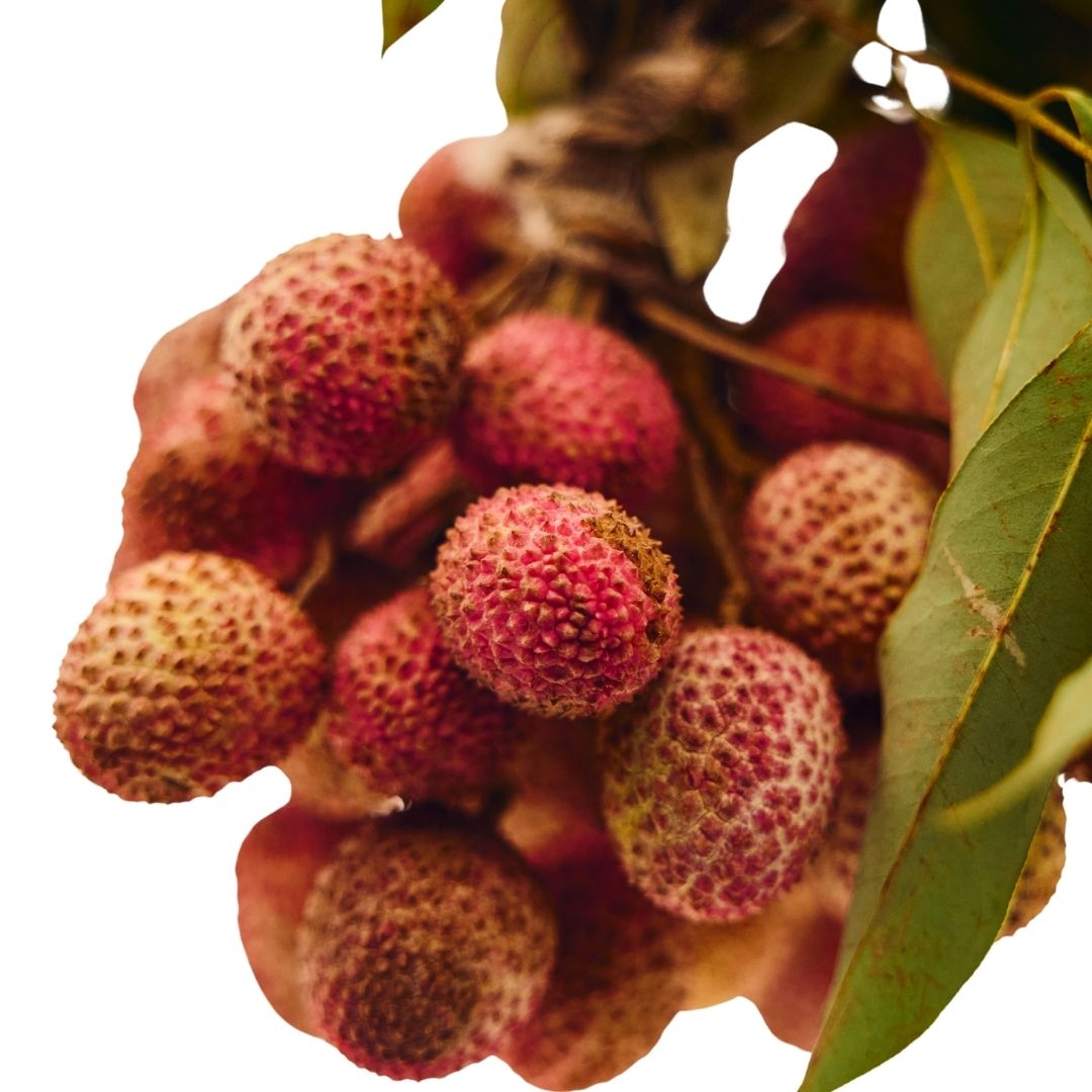 LICHI