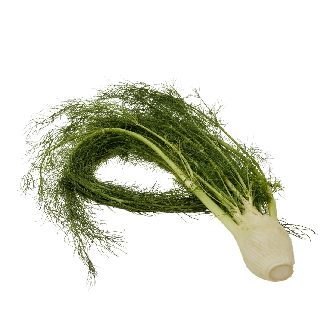 FENNEL LEAVES