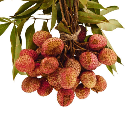 LICHI