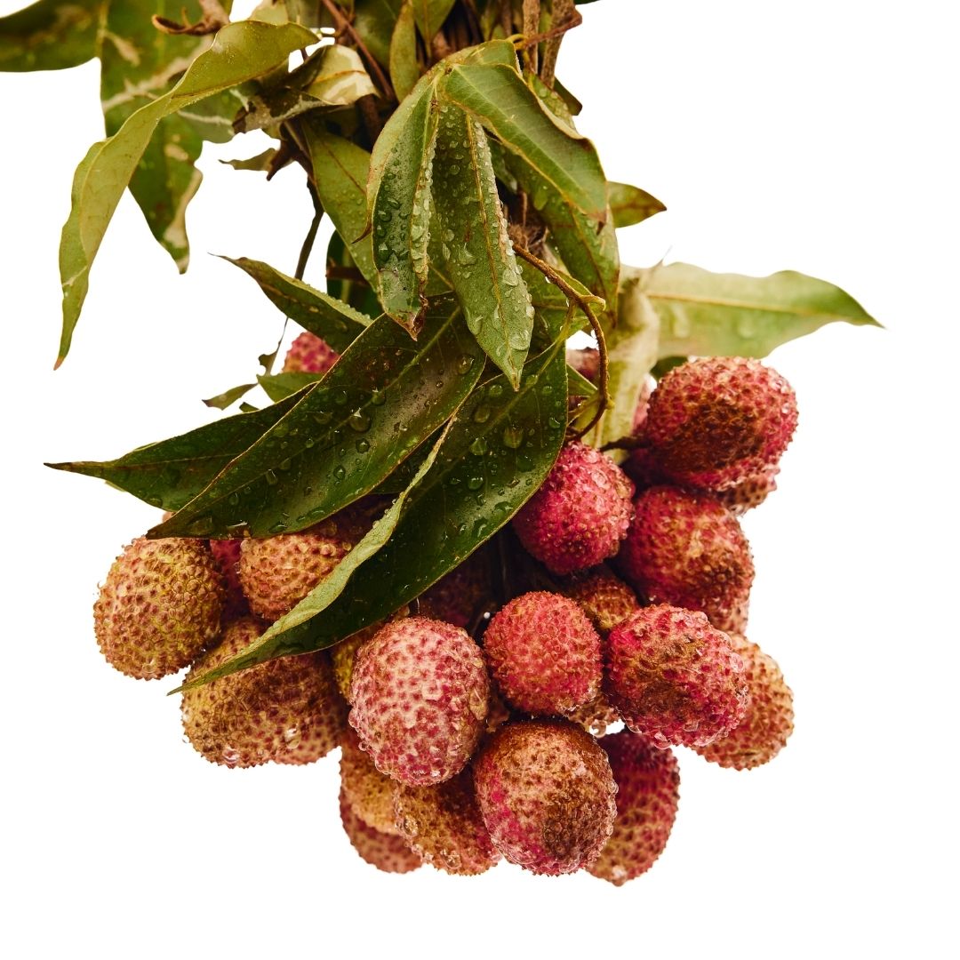 LICHI