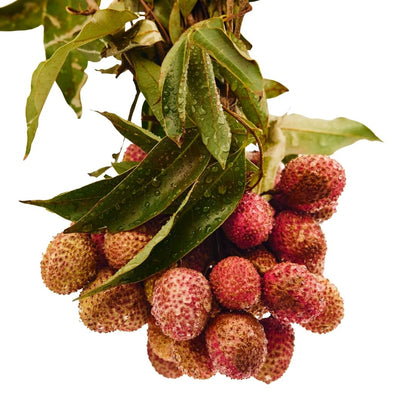 LICHI