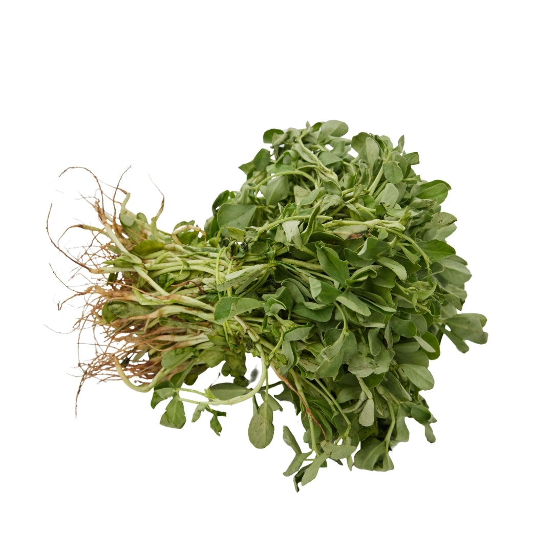 FENUGREEK (METHI)