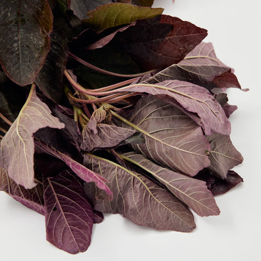 AMARANTHUS RED (LAL CHAULAI)
