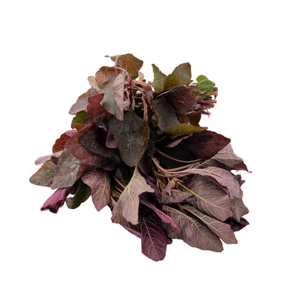 AMARANTHUS RED (LAL CHAULAI)
