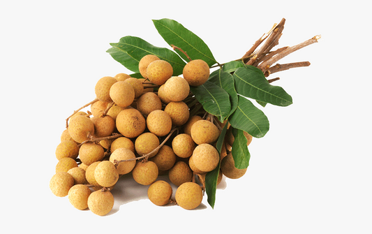 LONGAN