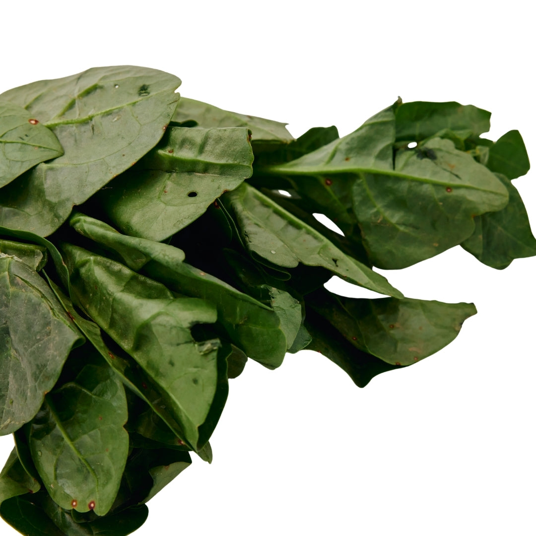 PUI SAAG (MALABAR SPINACH)