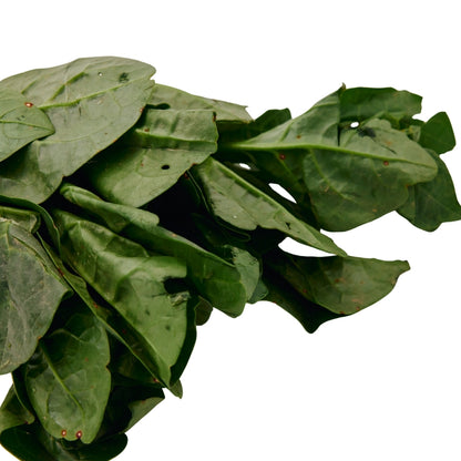 PUI SAAG (MALABAR SPINACH)