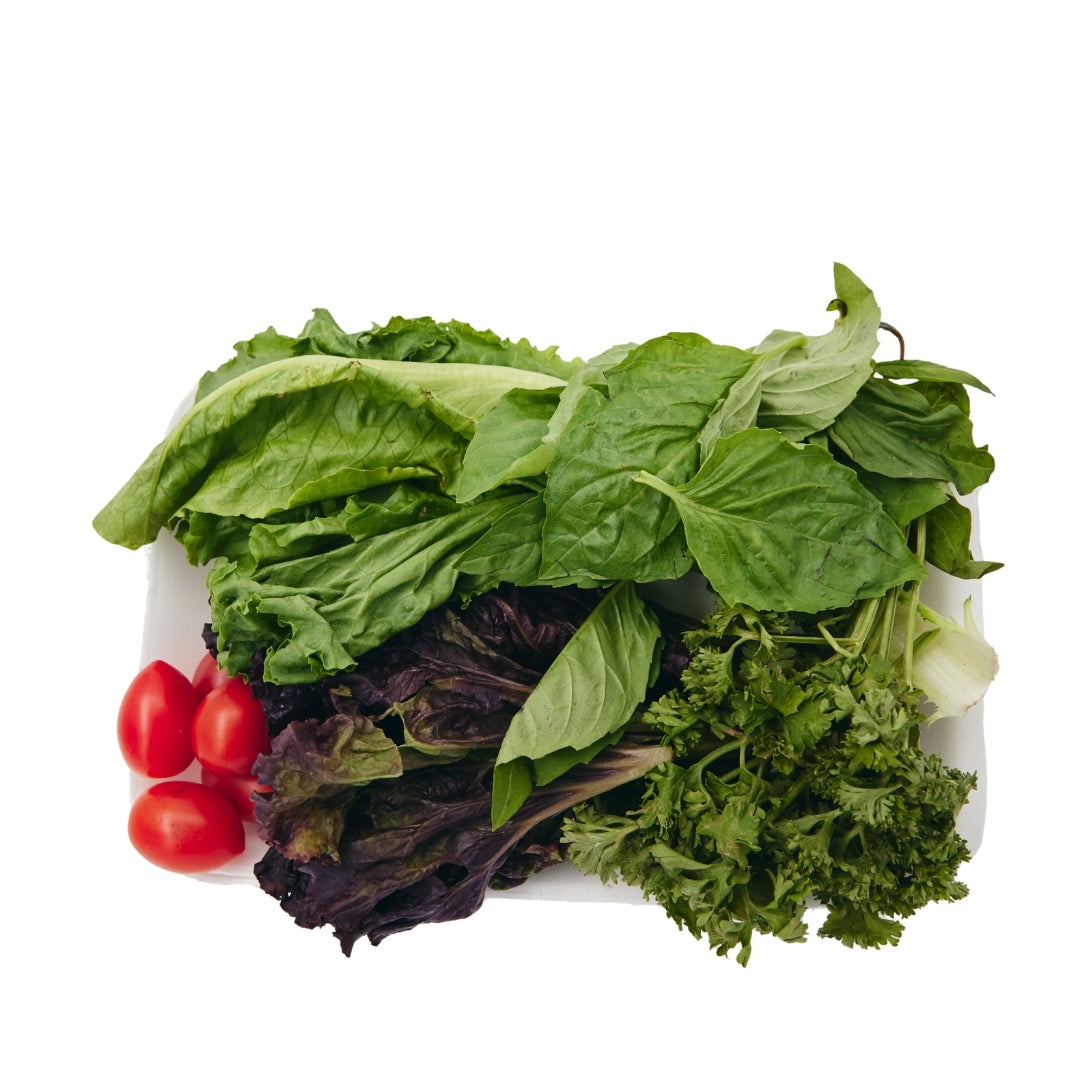 MIXED LETTUCE (MIX SALAD PATTA)