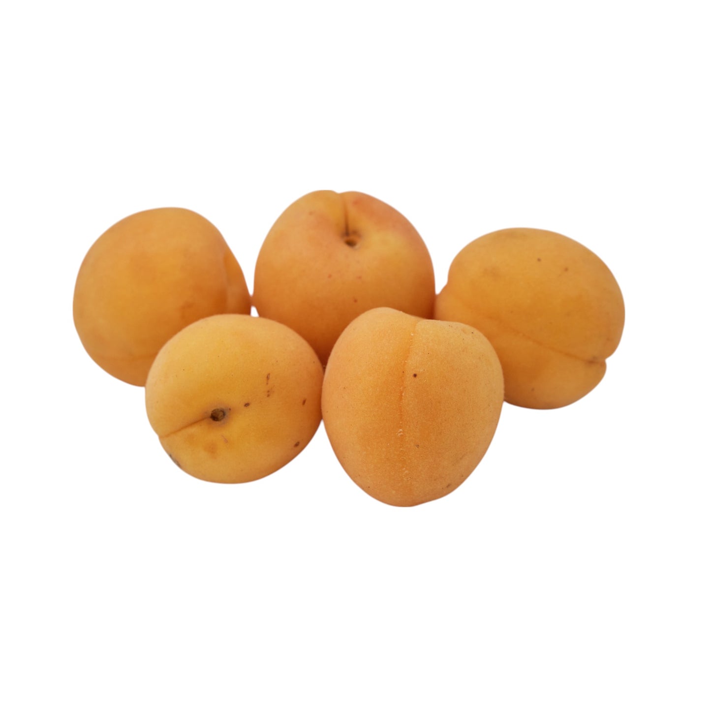 APRICOT (KHUBANI)