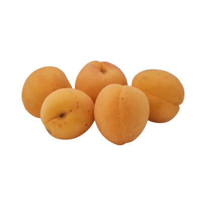APRICOT (KHUBANI)