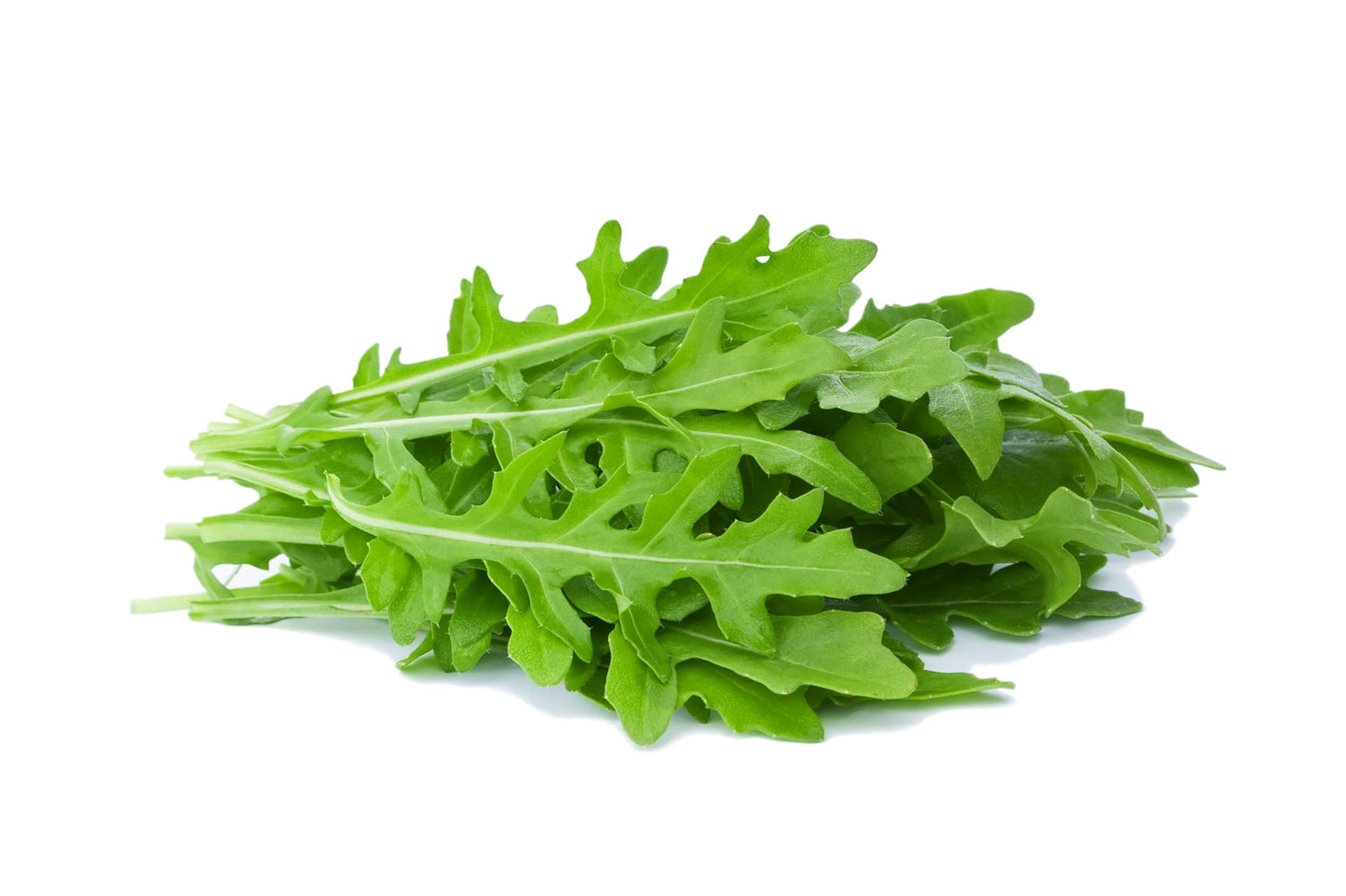 ARUGULA LEAVES