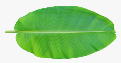 BANANA LEAVES (KELA PATTA)