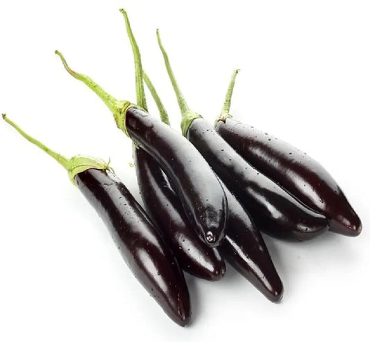 LONG BRINJAL (LAMBA BAIGAN)