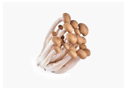 BROWN SHIMEJI (MUSHROOM)