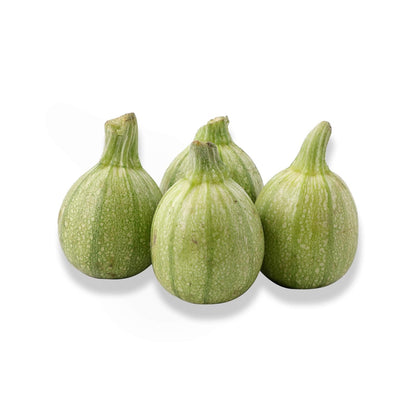 SUMMER SQUASH (CHAPPAN TINDA)