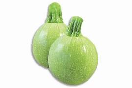 SUMMER SQUASH (CHAPPAN TINDA)