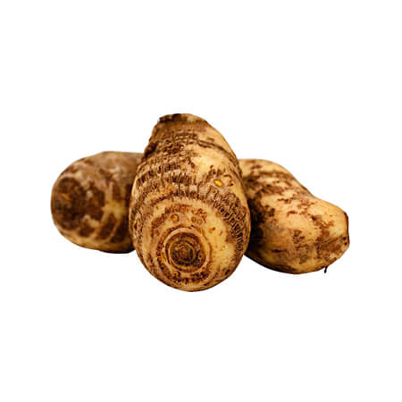 COLACASIA ARBI (DEHRADUN)