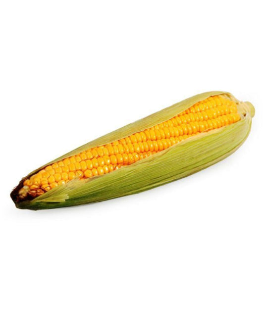 DESI BHUTTA