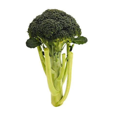 FRESH BROCCOLI