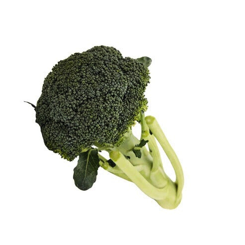 FRESH BROCCOLI