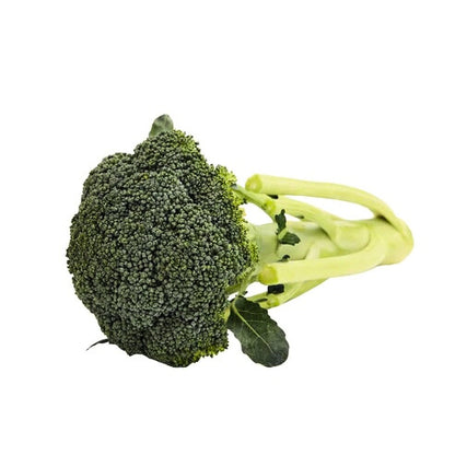 FRESH BROCCOLI