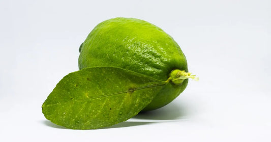 (GONDHORAJ NIMBU)